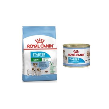 Royal Canin Mini Starter Küçük Irk Anne ve Yavru Köpek Maması 4 Kg + Mini Starter Konserve 195 gr