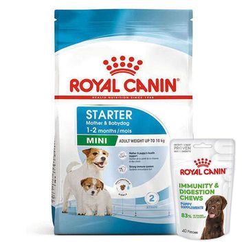 Royal Canin Mini Starter Küçük Irk Anne ve Yavru Köpek Maması 4 Kg + Royal Canin Yavru Köpek Ödülü