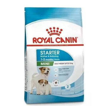 Royal Canin Mini Starter Mother Babydog 1 kg Küçük Irk Yavru Açık Köpek Maması