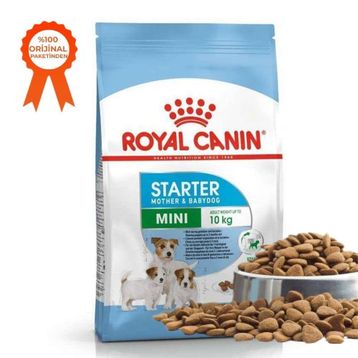 Royal Canin Mini Starter Mother Babydog 1 kg Küçük Irk Yavru Açık Köpek Maması