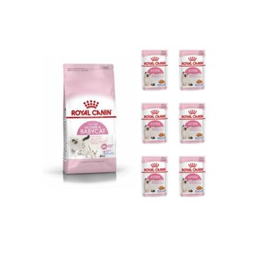Royal Canin Mother Babycat Anne ve Yavru 4 kg Kedi Maması + 6 Adet Yaş Mama