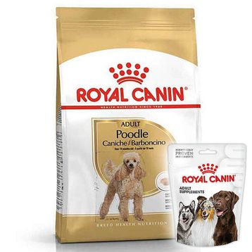 Royal Canin Poodle Irkı 3 kg Yetişkin Köpek Maması + Köpek Ödülü