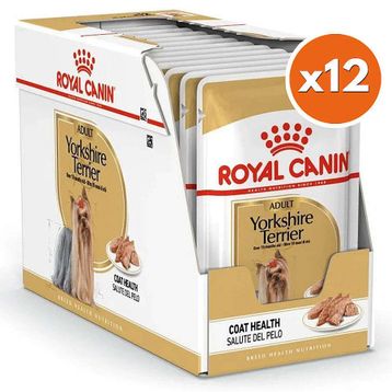 Royal Canin Pouch Yorkshire Terrier Irkı Özel Yaş 12x85 gr Köpek Maması