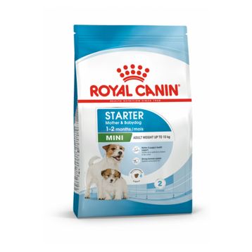 Royal Canin Small Dogs Mini Starter Mother Babydog 1 kg Yavru Köpek Maması