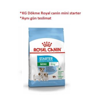 Royal Canin Small Dogs Mini Starter Mother Babydog 1 kg Yavru Köpek Maması