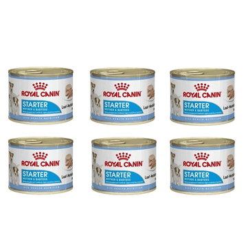Royal Canin Starter Mousse Anne ve 6x185 gr Yavru Köpek Konservesi
