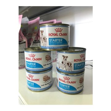 Royal Canin Starter Mousse Mother Babydog 5x195 gr Köpek Konservesi