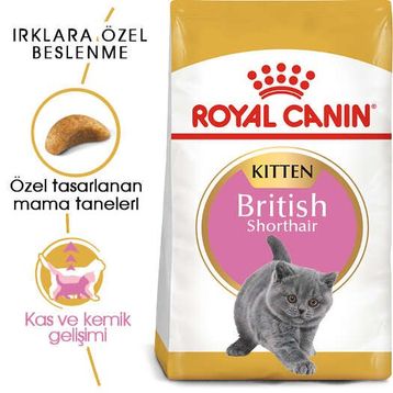 Royal Canin Temizlik Mendili+2 kg Kitten British Shorthair Yavru Irk Kedi Maması
