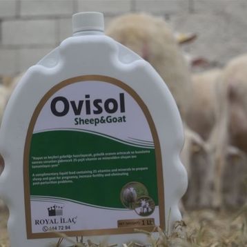 Royal Ovisol Sheep & Goat 1 lt Koyun Kuzu Keçi Sıvı Yem Katkısı