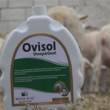 Royal Ovisol Sheep & Goat 1 lt Koyun Kuzu Keçi Sıvı Yem Katkısı