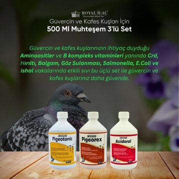 Royal Pigeotonic Pigeorex Acidoral 3'lü 500 ml Tamamlayıcı Yem Seti