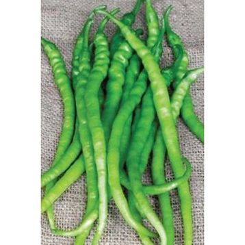 Royaleks 10 gr Acı Kıl Biber Tohumu