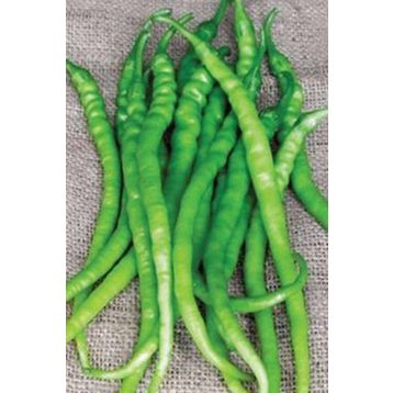 Royaleks 10 gr Acı Kıl Biber Tohumu