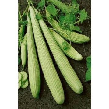 Royaleks 10 gr Acur Tohumu