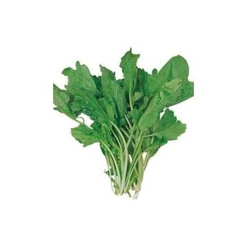 Royaleks 10 gr Tere Tohumu