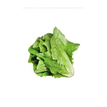 Royaleks 10 gr Yedikule Marul Tohumu