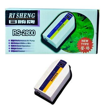 RS Tek Çıkışlı 2.5 lt/dk 3 w Hava Motoru