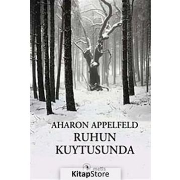 Ruhun Kuytusunda - Aharon Appelfeld