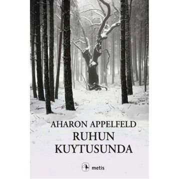 Ruhun Kuytusunda - Aharon Appelfeld