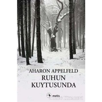Ruhun Kuytusunda - Aharon Appelfeld