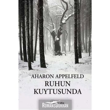 Ruhun Kuytusunda - Aharon Appelfeld