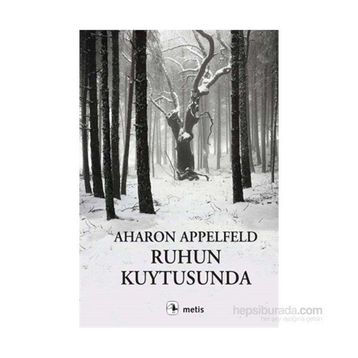 Ruhun Kuytusunda - Aharon Appelfeld