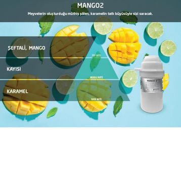 Rulopak 200665 M7 Mango 100 ml Koku Kartuşu