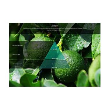 Rulopak M5-M6 Arizona 100 ml Koku Kartuşu