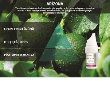 Rulopak M5-M6 Arizona 100 ml Koku Kartuşu