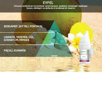 Rulopak M5-M6 Eyfel 100 ml Koku Kartuşu