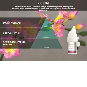 Rulopak M5-M6 Kristal 100 ml Koku Kartuşu