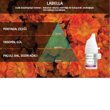 Rulopak M5-M6 Labella 100 ml Koku Kartuşu