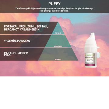 Rulopak M5-M6 Puffy 100 ml Koku Kartuşu