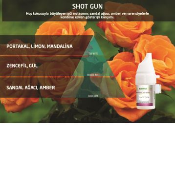 Rulopak M5-M6 Shotgun 100 ml Koku Kartuşu