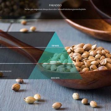 Rulopak Nanoplus M7 200 ml Paradiso Koku Kartuşu