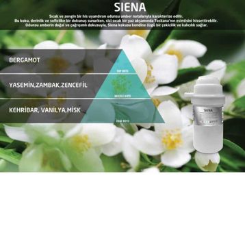 Rulopak Nanoplus M7 Siena 100 ml Koku Kartuşu