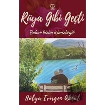 Rüya Gibi Geçti-Luna Yayınları