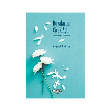 Rüyalarım Çiçek Açtı - Zeynel Beksaç