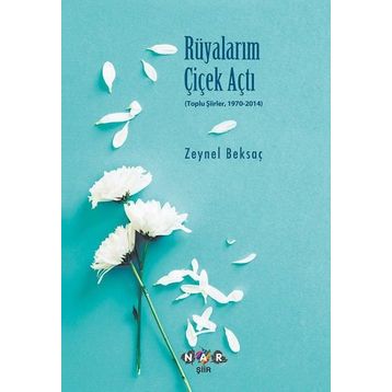 Rüyalarım Çiçek Açtı - Zeynel Beksaç