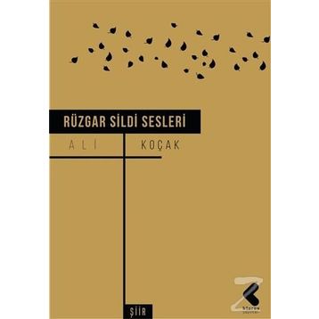 Rüzgar Sildi Sesleri - Ali Koçak