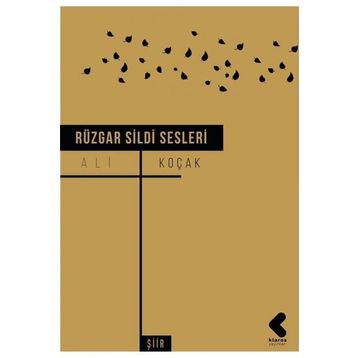 Rüzgar Sildi Sesleri - Ali Koçak
