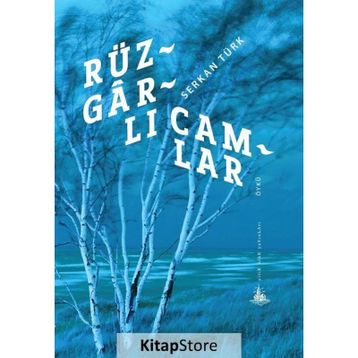 Rüzgarlı Camlar - Serkan Türk
