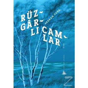 Rüzgarlı Camlar - Serkan Türk
