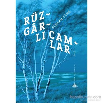 Rüzgarlı Camlar - Serkan Türk