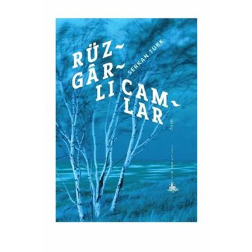 Rüzgarlı Camlar - Serkan Türk