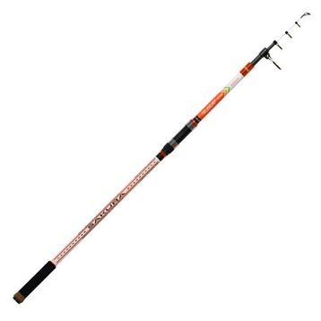 Ryobi Sakura 400 CM 100-250 GR Surf Kamış