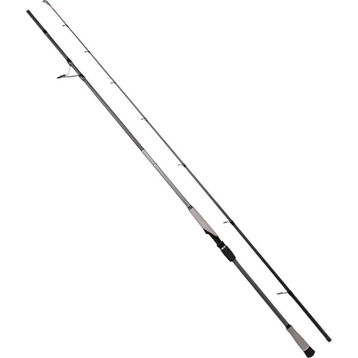 Ryuji Matrix Fuji 2.80 m 25-80 gr Shore Jig Kamış