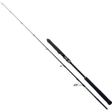 Ryuji Seawolf 180 cm 300-600 gr Jig Kamış