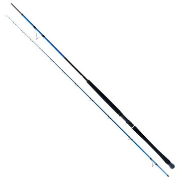 Ryuji Shore Game Fuji 285 cm 25-85 gr Jig Kamış