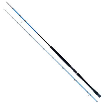 Ryuji Shore Game Fuji 285 cm 25-85 gr Jig Kamış